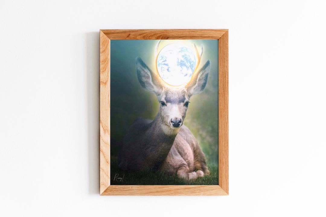 Enlighten by Rannygraphics