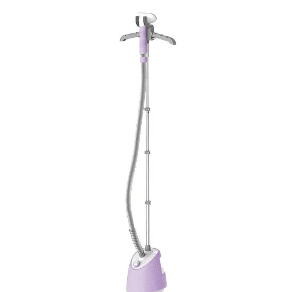 Electric Steam Iron