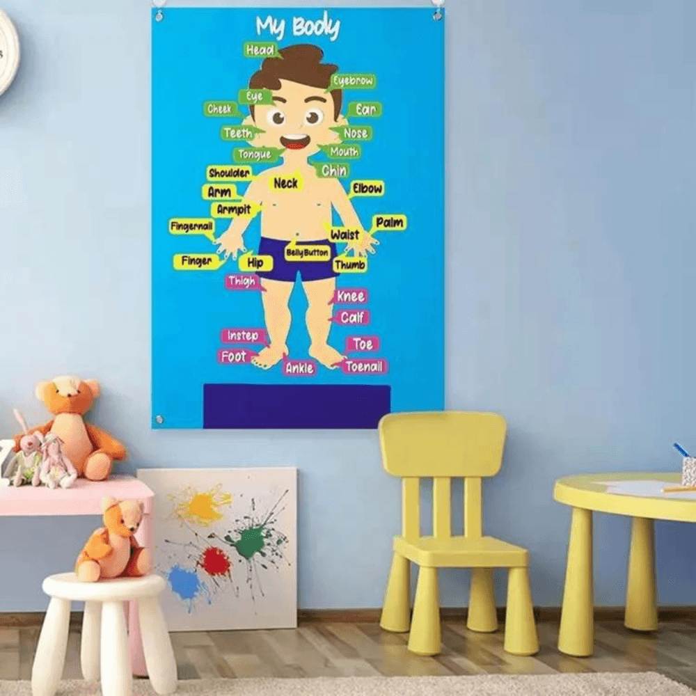 Learning Body Recognition Toy