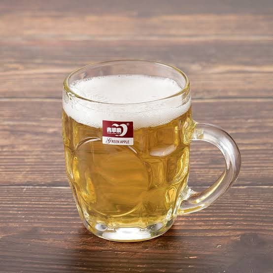 Dimple Stein Beer Mug 6 Pcs