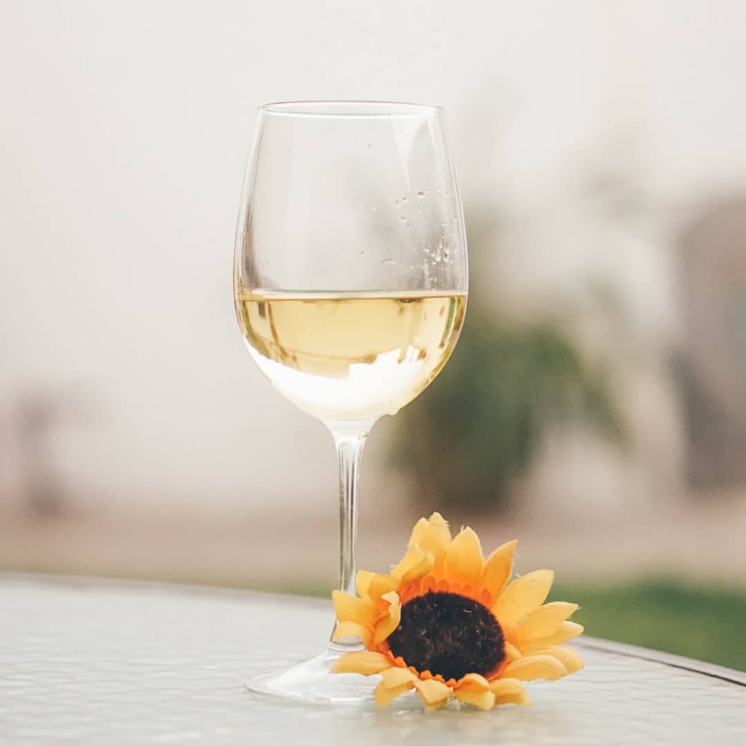 Wine Glass 6 Pcs