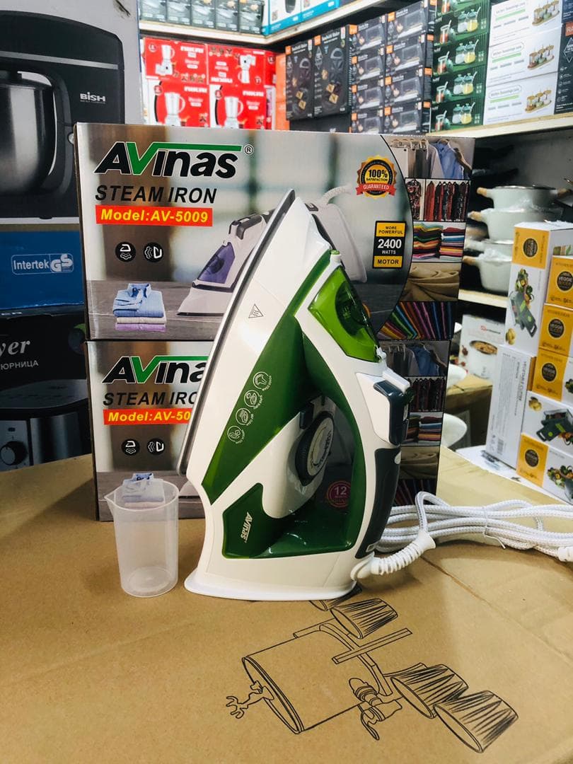 Electric steam iron