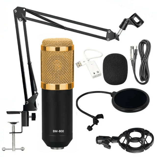 BM800 Microphone