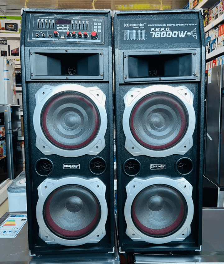 Aborder professional sound speaker system