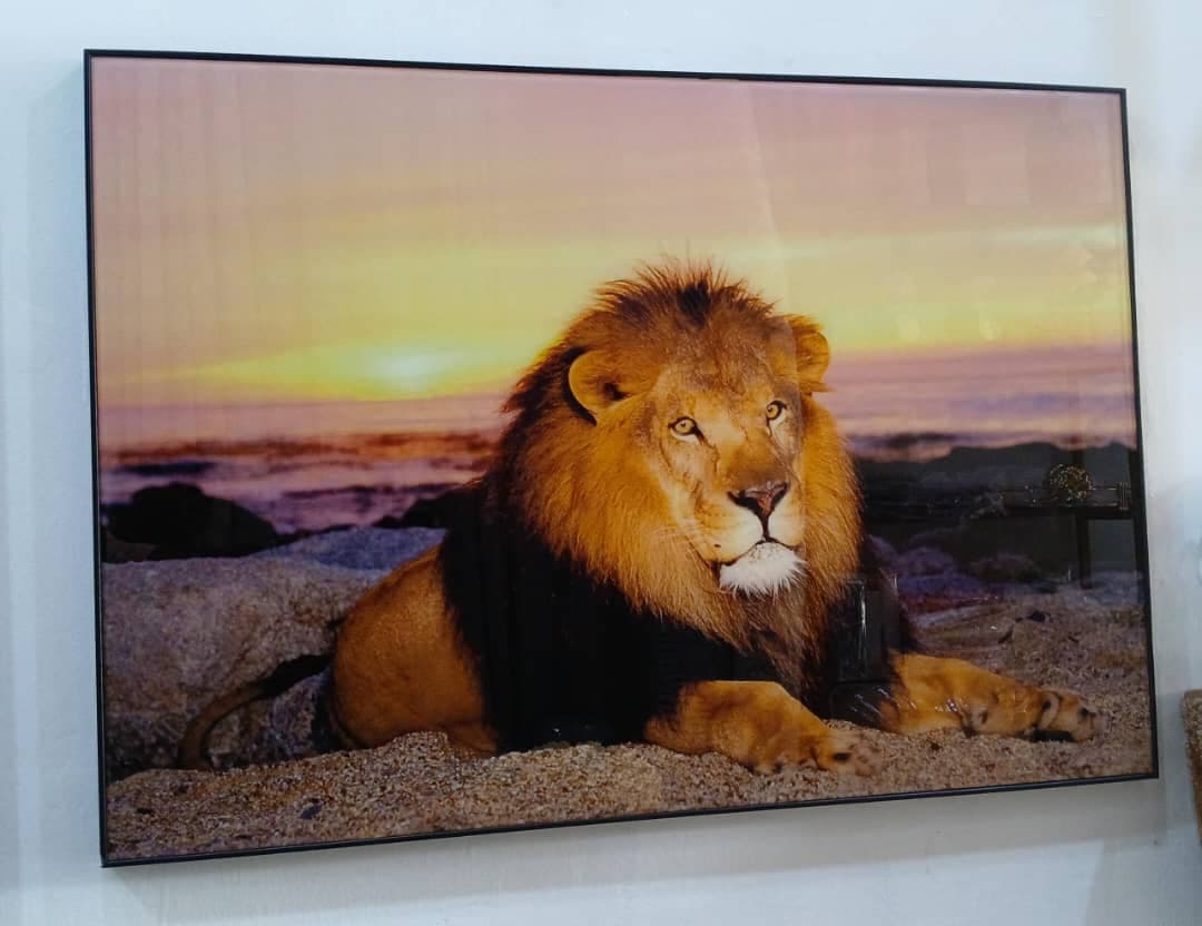 Animals Wall picture