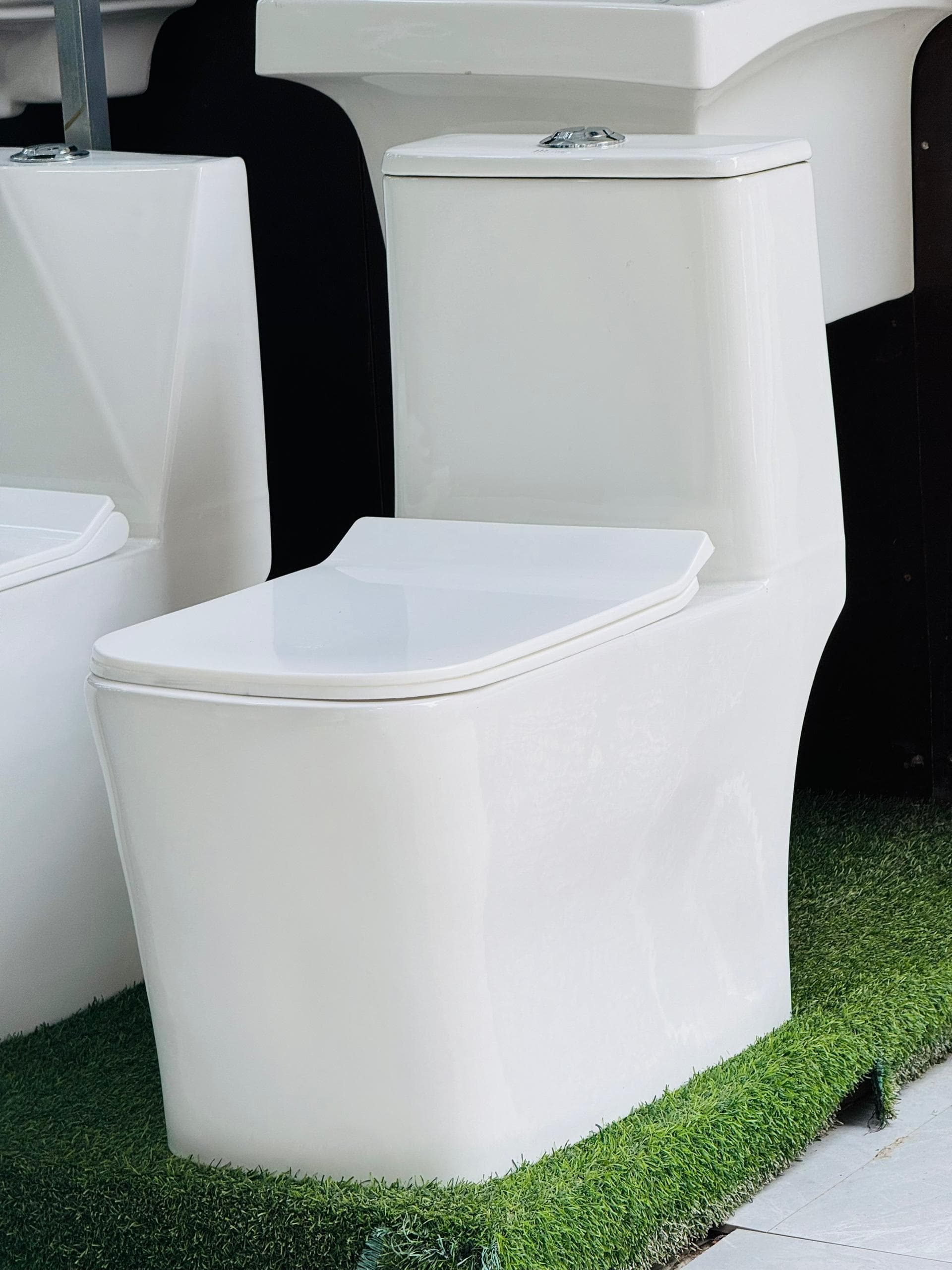 Toilet
