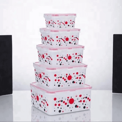 5 PCS CONTAINER